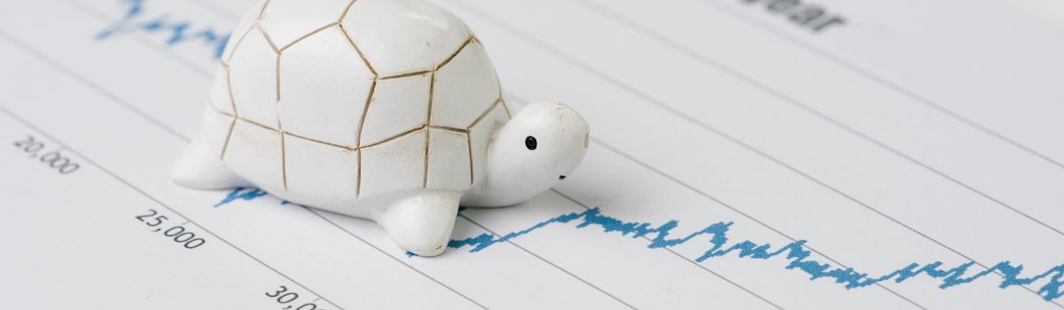 Investissement au long terme