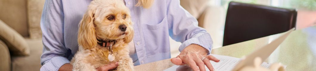 Op zoek naar hondenverzekering