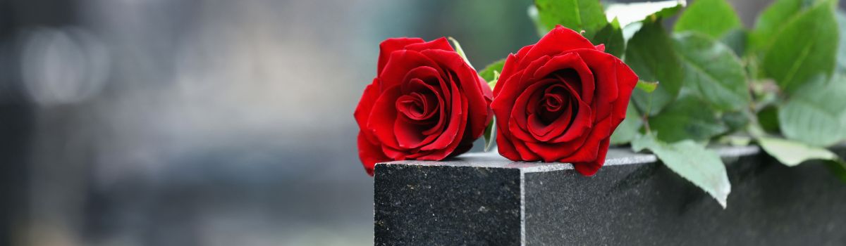 Deux roses sur une tombe