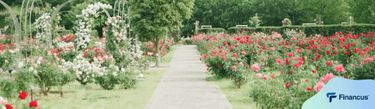 Beautiful garden